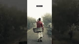 Before / AfterFree Cinematic Desktop & Mobile Lightroom Presets