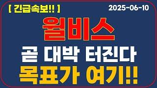 [윌비스] 긴급속보!! 곧 대박 터진다?! 목표가 알려드립니다!