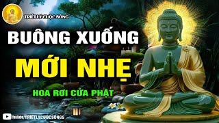 Buông đúng lúc, nhẹ lòng giữa đời – Hành trình giác ngộ & chữa lành sâu thẳm