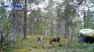 Нашумевшая история в Мурманской области получила продолжение