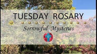 Tuesday Rosary • Sorrowful Mysteries of the Rosary  October 29, 2024 VIRTUAL ROSARY - MEDITATION