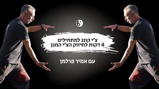 טאי צ'י למתחילים | שיעור טאי צ'י עם אמיר פרלמן