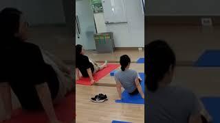 서울 호서아카데미 시니어 요가 지도 #시니어요가자격과정#건강체조#도구운동#자격과정 #국민건강보험공단 #라인댄스#강사양성#새일센터