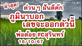 ด่วน ล่าสุด! ภูมินาบอก มันจะออกตัวนี้  ฝันดีคัก พ่อต้อย FC สุรินทร์ 16/10/67