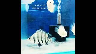 Black, Orange Oscar ! Rainbow  ! Silver  Aquarium Fish #fish #pets #vlog #oscarfish #aquarium
