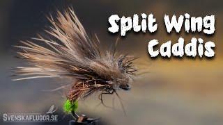 Split Wing Egg Laying Caddis | Flugbindning | Svenskaflugor.se