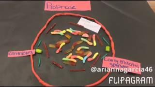 Biology science project 2016 Gabriel cuellar