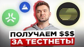 ТОП-3 ТЕСТНЕТА ПОД AIRDROP БЕЗ ВЛОЖЕНИЙ  | ИНСТРУКЦИЯ НА TESTNET ABSTRACT, ITHACA, THEORIQ