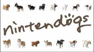 Nintendogs - Bath time (30 minute loop)