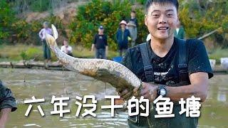 【戶外捕魚vlog】花1500包下一口六年沒幹的魚塘，大家覺得值不值？#三農