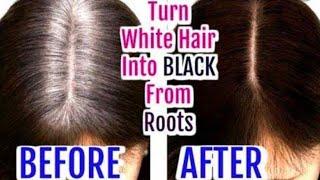 बालो को जिंदगी भर के लिए काला करो | Homemade DYE for black hairs witout Henna