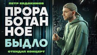 Петр Евдокимов - Проработанное быдло |  Stand Up концерт 2025