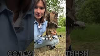 Моя телега Diana Sirazi