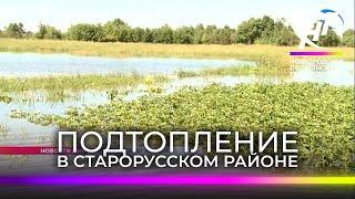 В Старорусском районе подтопило деревню