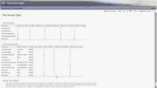 IBM Rational Insight Activity Tracking Demonstration