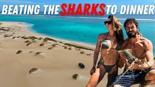 LOBSTER CATCH AND COOK | Shark Encounters | Whale Shark | Ningaloo Coast | South Lefroy