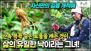 [Full] 한국기행 - 한방 기행 2부 산중 보물 찾기