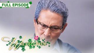 [ENG SUB] Ep 79 | Wildflower | Maja Salvador, Tirso Cruz III, Aiko Melendez