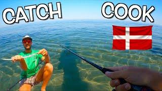 Shore fishing with metal jig from a Danish Beach! Crystal clear water, New Species, Catch & Cook!