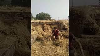 Vakeel ahmad