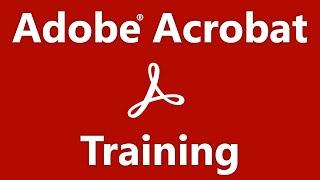 Acrobat Tutorial: Collecting Distributed Form Responses - Adobe Acrobat Training Course