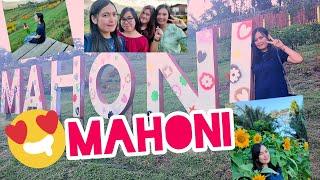 Puncak mahoni tomohon #vlog #olfs