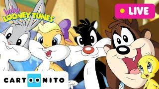  LIVE: BABY LOONEY TUNES | 24 Hours Compilation | Cartoonito | Cartoons For Kids