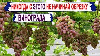  Когда МОЖНО НАЧИНАТЬ ОБРЕЗКУ ВИНОГРАДА? Никогда не допускай такую ошибку.