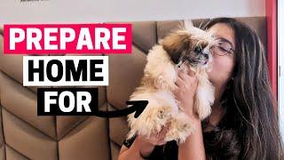 How to Prepare Your Home For a New Shih Tzu Puppy