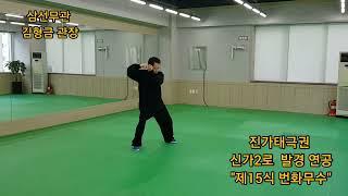 Chen-style Tai Chi Xinjia 2lu (진가 태극권 신가2로) "제15식 번화무수" 발경 연공 ... by 김형금  관장