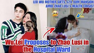 Wu Lei Proposes to Zhao Lusi in the Hospital Ward – Fans Are in Tears! 