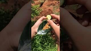 Enjoy eating fruit with me #eating #trending #shorts #nature #viral #reels #youtubeshorts #video