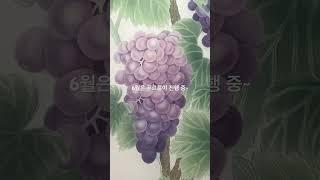 바야흐로 초여름. 푸름은 짙어지고 내 그림 속 포도는 영글고 한강작가 책이 도착했다.#초여름#포도그림#비단채색화#공필화