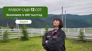 Ландшафтный разбор сада 12 соток