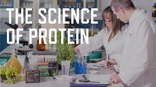 The Science of Protein