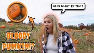 You Could’ve Believe What We Saw At The Pumpkin Patch…