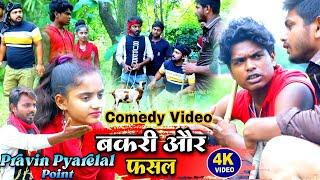 बकरी और फसल - Bakri Aur Fasal - Pravin Pyarelal Point - New comedy video