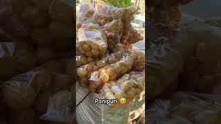 #shorts #viral #trending #ytshorts #panipuri #animalmovie