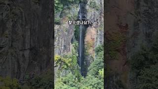 찾으셨나요?