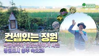 스토리가 있는 아름다운 정원 원예지도사들이 만들면 역시 다르네요 "숲 속으로간 백설공주" 컨셉정원 구경!!