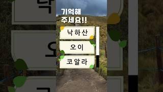 치매예방퀴즈 #korean #치매예방 #재미있는 #두뇌 #퀴즈 #한국어