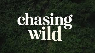 Family of 6 living off-grid in Belize: We are Chasing Wild!