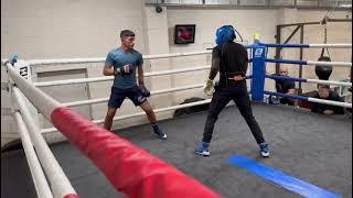 boxing sparring