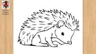 How to Draw a Hedgehog Drawing | Cute Hedgehog Outline Easy Step by Step Sketch For Beginners' Art