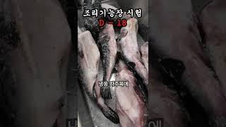 조리기능장 디데이 18일
