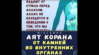 Аят Корана выводит камни из почек, жёлчного пузыря и т.п