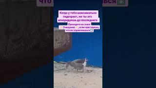 Сеанс ОЧИЩЕНИЕ 