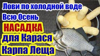 Лови по Холодной Воде всю Осень Насадка на  Карася Карпа Леща На что ловить рыбу осенью