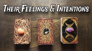 ️ Their Feelings & Intentions Towards You! ️  Pick A Card Reading