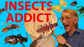 Insects & Spiders Addiction and Obsession? Love of Insects Study, Entomology. Your Best Insect?